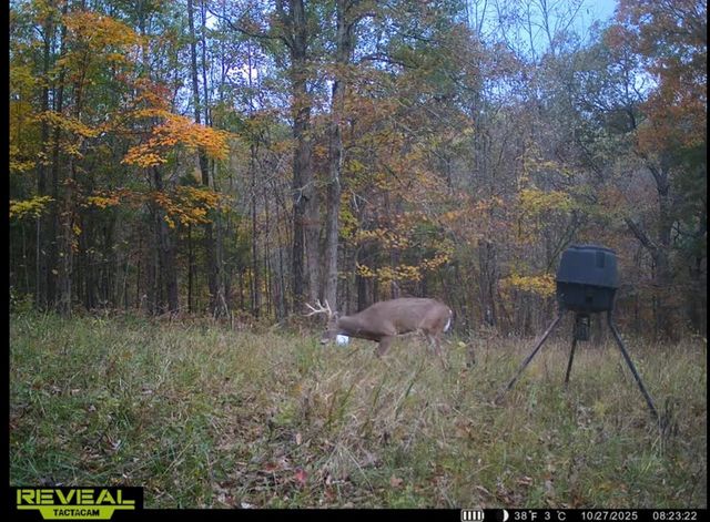 1485 N Rays Fork Road, Sadieville, KY 40370