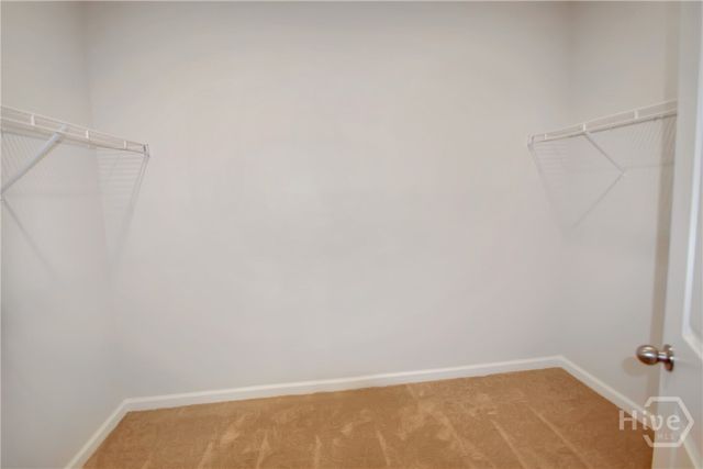 99 Cambium Circle, Richmond Hill, GA 31324