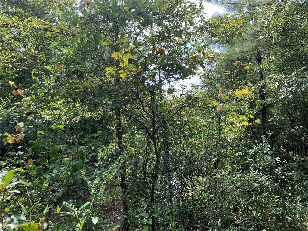 0 Bell Drive 5, Creola, AL 36525 — photo 4