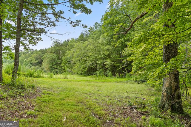 LT 15&16 Bearden Farm Overlook, Blue Ridge, GA 30513