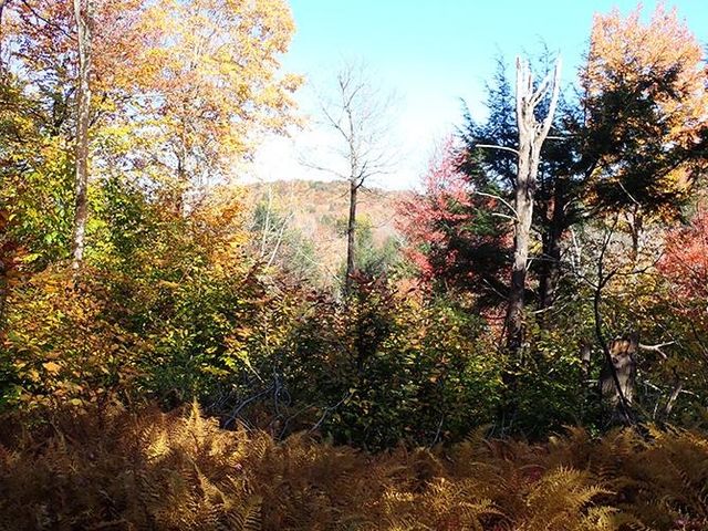 0 Route 9, Marlboro, VT 05344