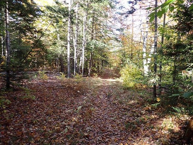0 Route 9, Marlboro, VT 05344