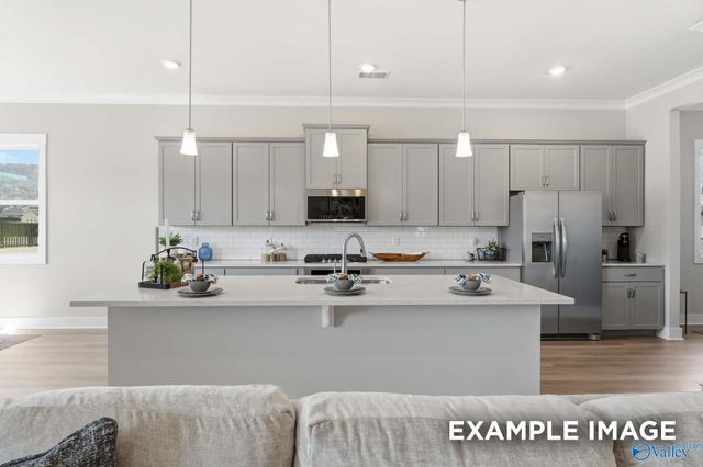 7519 Speckle Belly Boulevard, Owens Cross Roads, AL 35763