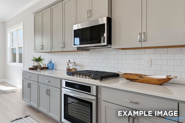 7519 Speckle Belly Boulevard, Owens Cross Roads, AL 35763