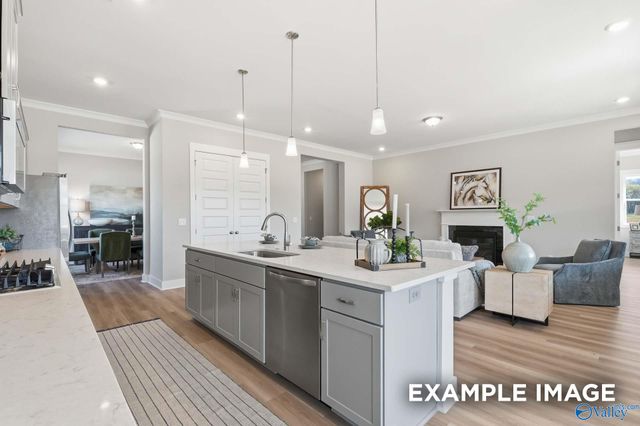 7519 Speckle Belly Boulevard, Owens Cross Roads, AL 35763