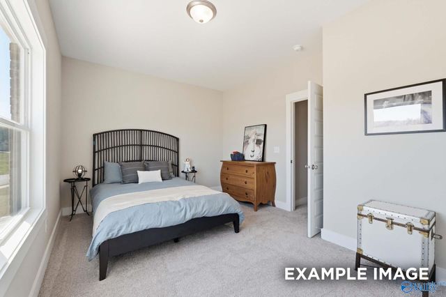 7519 Speckle Belly Boulevard, Owens Cross Roads, AL 35763