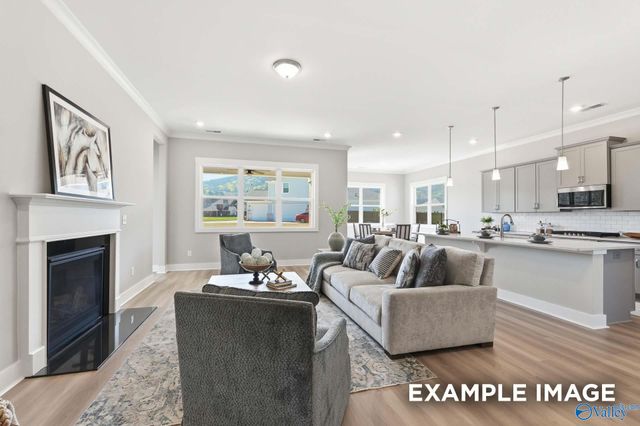 7519 Speckle Belly Boulevard, Owens Cross Roads, AL 35763