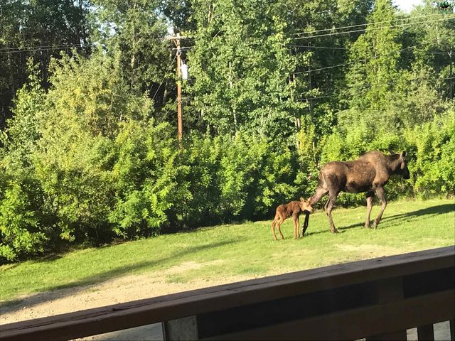 320 WOODLAND AVENUE, Fairbanks, AK 99712