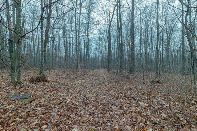 10646 W Capital Road, Thorp, WI 54771