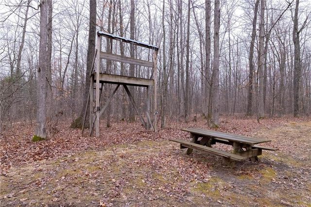 10646 W Capital Road, Thorp, WI 54771