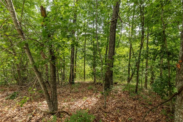 Cullen Hills Drive, Bella Vista, AR 72715