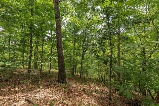 Cullen Hills Drive, Bella Vista, AR 72715