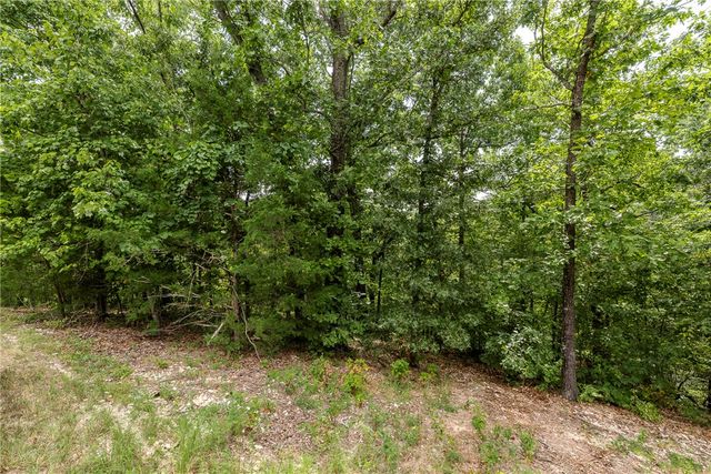 Cullen Hills Drive, Bella Vista, AR 72715