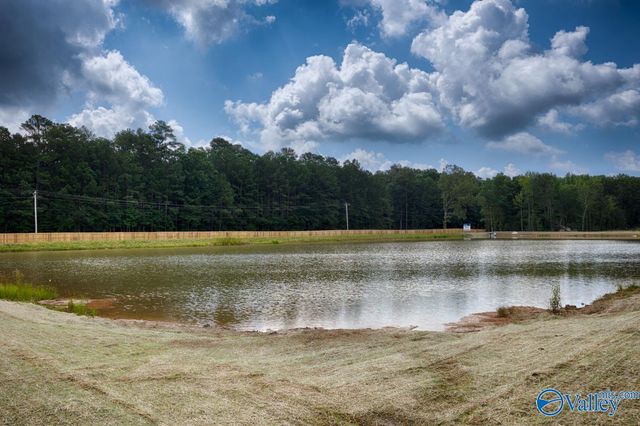 14861 Lapwing Cove, Athens, AL 35611