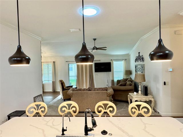 810 ROSEAPPLE AVENUE, Lady Lake, FL 32159