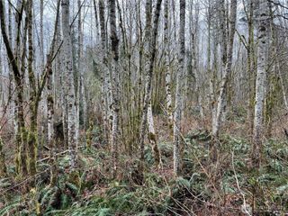 3 XX Scenic Drive, Poulsbo, WA 98370