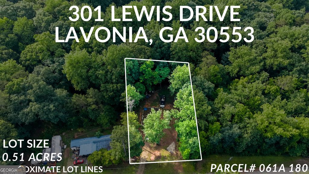 301 Lewis Drive, Lavonia, GA 30553