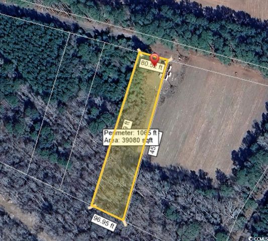 96 Smokethorn St., Andrews, SC 29510