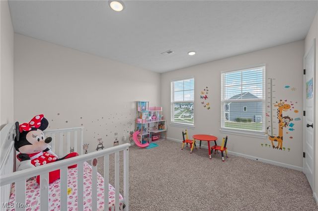 8924 Leatherleaf Drive, Columbia Station, OH 44028