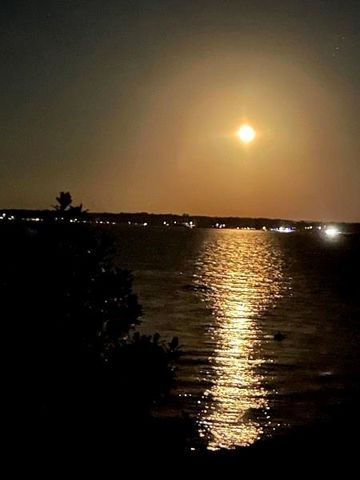 701 Canal Drive, Point Blank, TX 77364