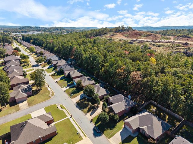 116 Orleans Drive, Maumelle, AR 72113