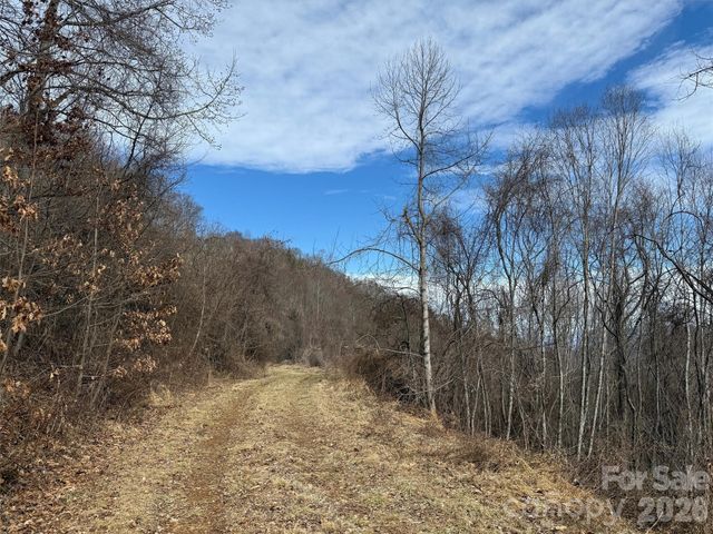 TBD Rock Ridge Road 9A & 9B, Leicester, NC 28748