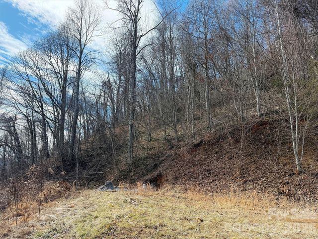 TBD Rock Ridge Road 9A & 9B, Leicester, NC 28748