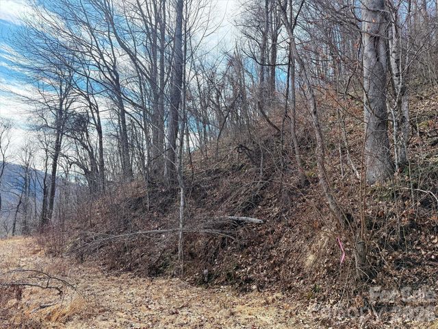 TBD Rock Ridge Road 9A & 9B, Leicester, NC 28748