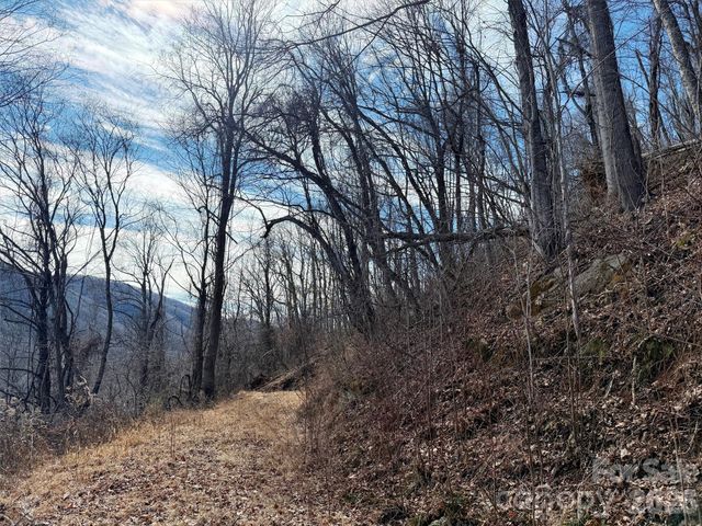 TBD Rock Ridge Road 9A & 9B, Leicester, NC 28748