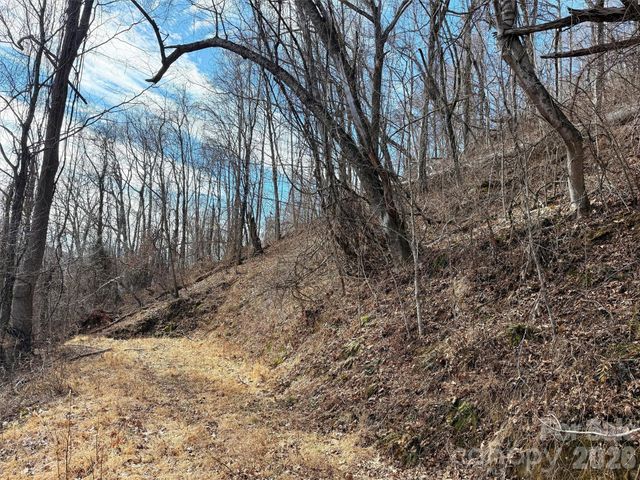 TBD Rock Ridge Road 9A & 9B, Leicester, NC 28748