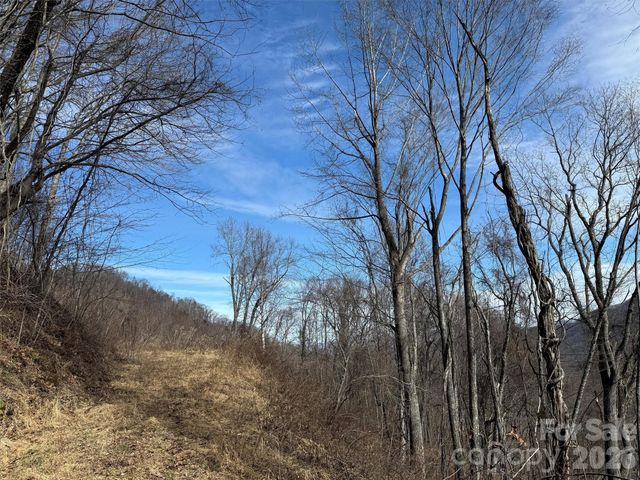 TBD Rock Ridge Road 9A & 9B, Leicester, NC 28748