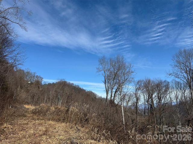 TBD Rock Ridge Road 9A & 9B, Leicester, NC 28748