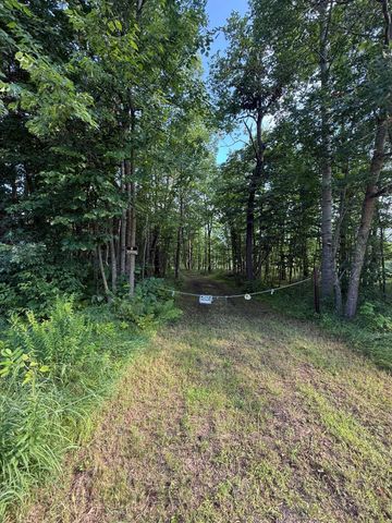 TBD CR-109, Mission Twp, MN 56465