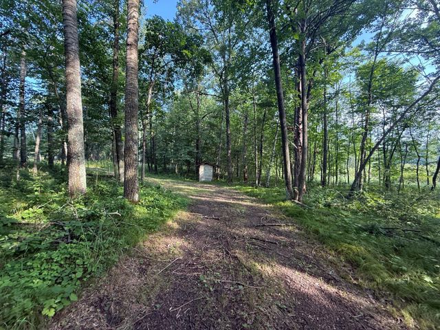 TBD CR-109, Mission Twp, MN 56465