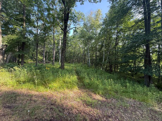 TBD CR-109, Mission Twp, MN 56465
