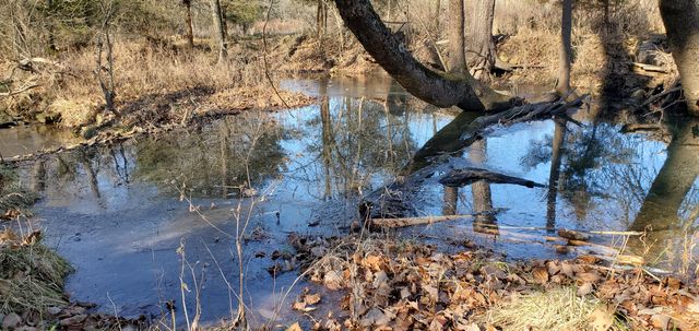 4775 S 50th Road, Aldrich, MO 65601