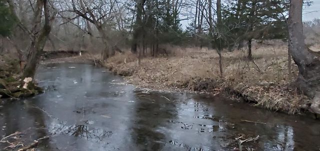 4775 S 50th Road, Aldrich, MO 65601