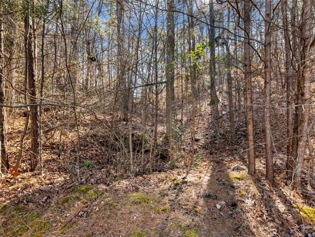 6377 Barker Station Walk, Sugar Hill, GA 30518