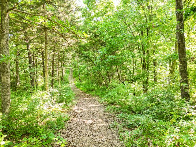 COUNTY ROAD 232, Fulton, MO 65251