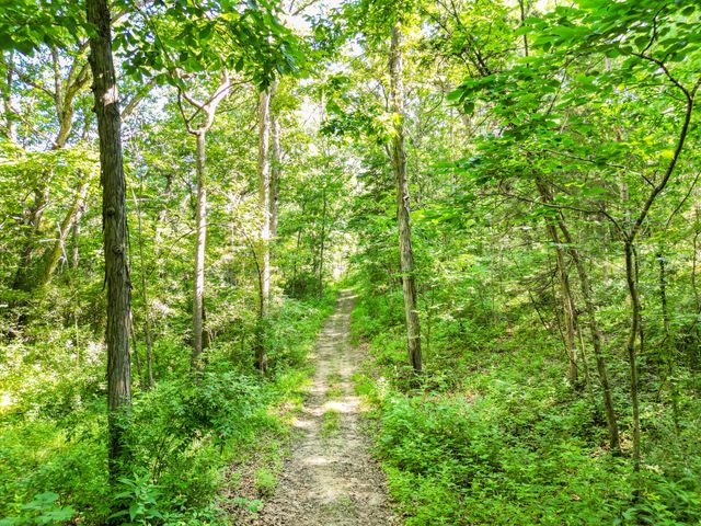 COUNTY ROAD 232, Fulton, MO 65251