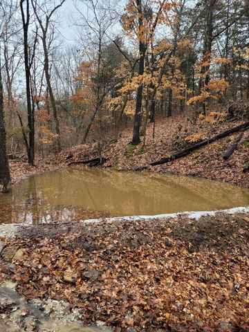 COUNTY ROAD 232, Fulton, MO 65251