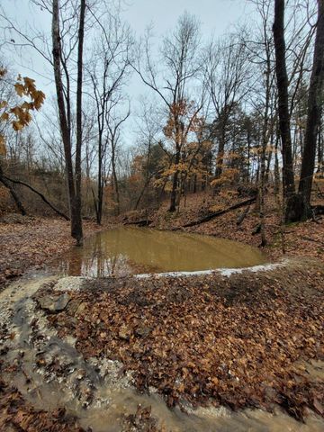 COUNTY ROAD 232, Fulton, MO 65251