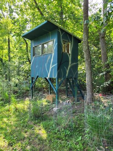 COUNTY ROAD 232, Fulton, MO 65251