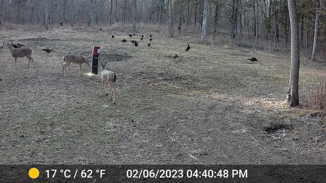 COUNTY ROAD 232, Fulton, MO 65251