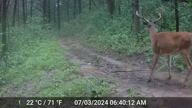 COUNTY ROAD 232, Fulton, MO 65251