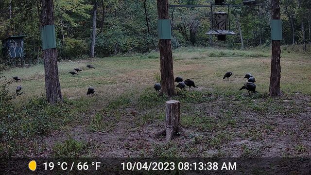 COUNTY ROAD 232, Fulton, MO 65251