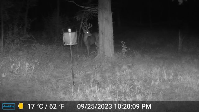 COUNTY ROAD 232, Fulton, MO 65251