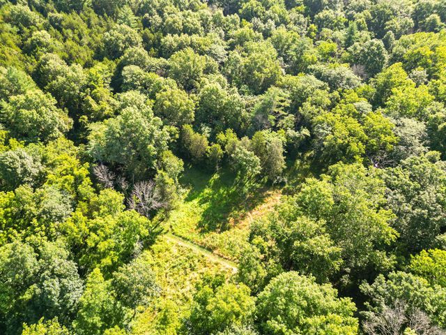 COUNTY ROAD 232, Fulton, MO 65251