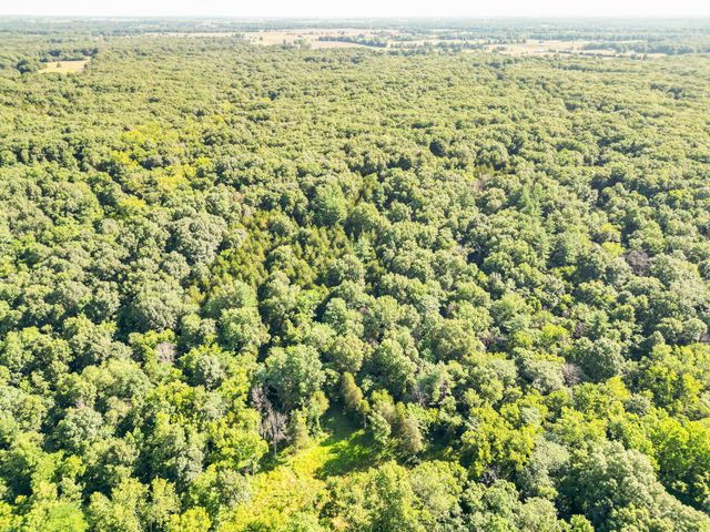 COUNTY ROAD 232, Fulton, MO 65251