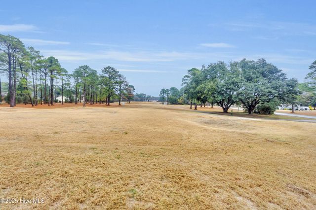 1106 Navidad Bank Court, New Bern, NC 28560